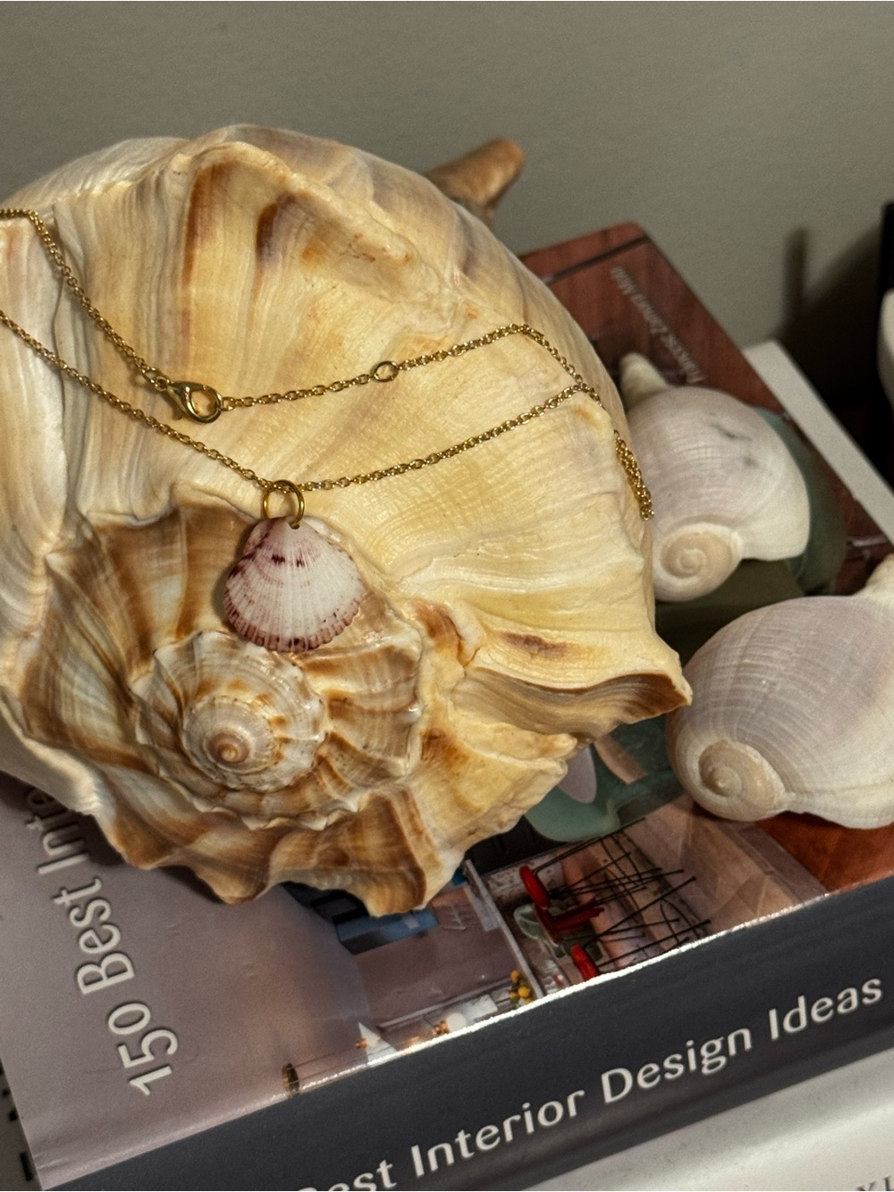 Genuine Natural Scallop Shell Necklace with Gold-Plated Stainless Steel Chain 🐚✨